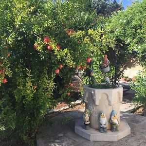Il Giardino Della Foglia